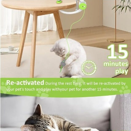 Colorful Beating Mouse Electric Interactive Cat Toy – Auto Motion