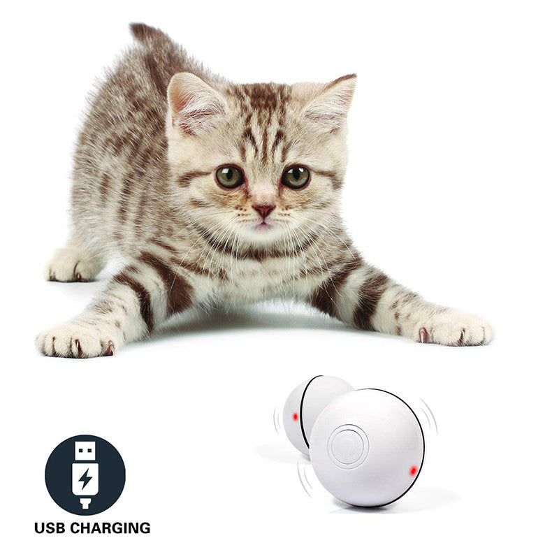 LED rolling cat toy ball in white with black trim and red light dots