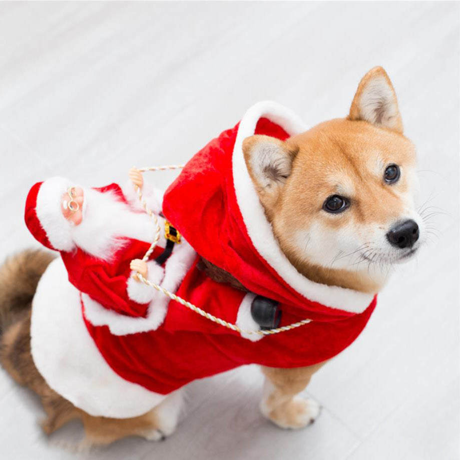 Déguisement de Noël pour Chien Elfe Vert – Tenue de Fête pour Animaux