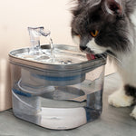 Stainless automatic pet water fountain with transparent pump, with cat drinking