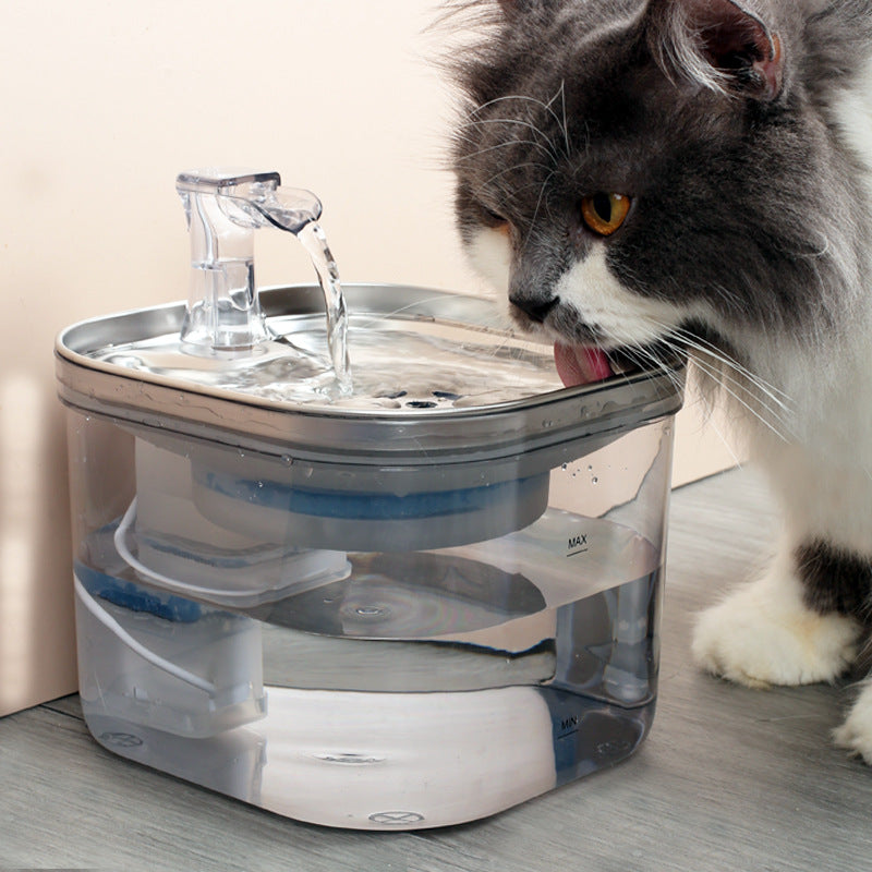 Stainless automatic pet water fountain with transparent pump, with cat drinking