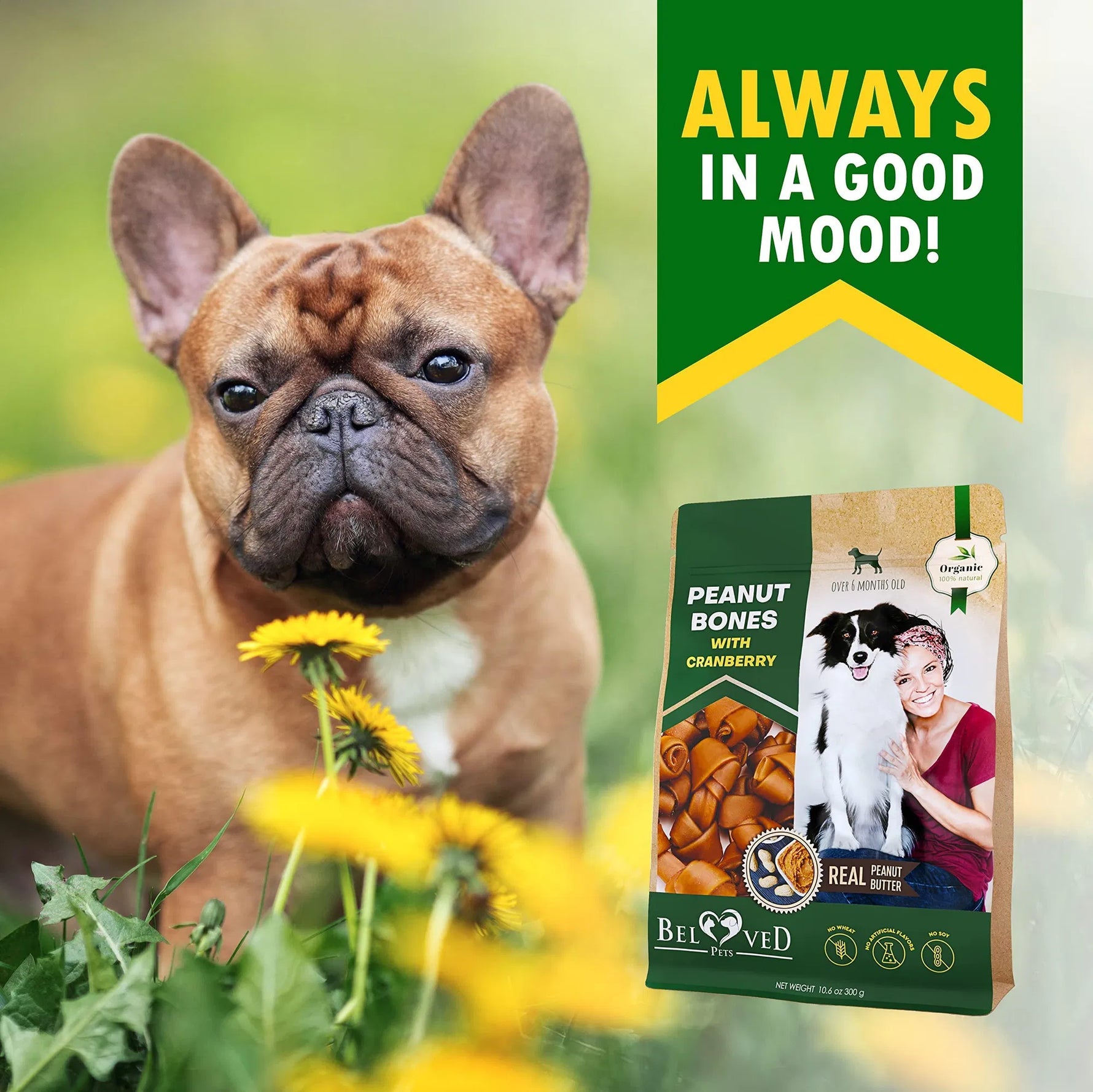French bulldog face with treat bag showing peanut bones with cranberry