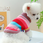 Colorful Stripes Pet Ring Sweater - Soft Comfort for Your Furry Friend