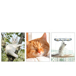 Cat window hammock perch panel with suction-cup design and lounging cats