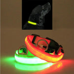 Orange LED pet safety collar with black strap, metal D-rings, green and red glow