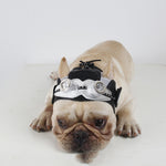 Halloween Pet Party Dress – Funny Dog Costume