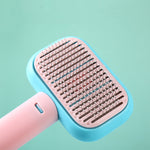 Pet grooming brush head with stainless pins, light blue and pink