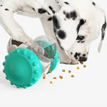 Teal-green interactive slow feed pet toy with white gray access openings