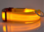 GlowPaws Nylon LED Dog Collar - Adjustable Luminous Leash for Night Safety & Visibility