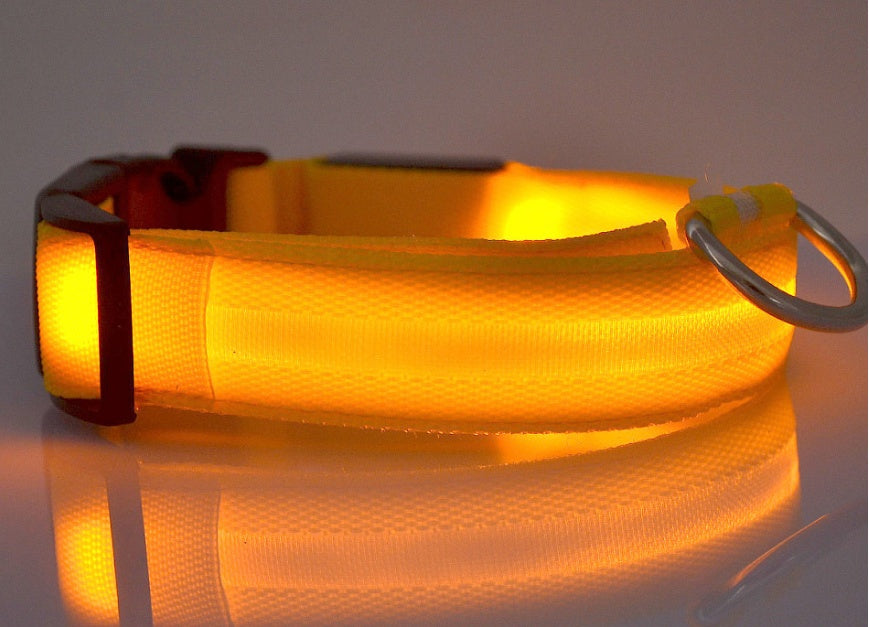 GlowPaws Nylon LED Dog Collar - Adjustable Luminous Leash for Night Safety & Visibility