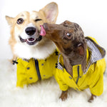Waterproof Dog Raincoat – Rain Pet Clothes