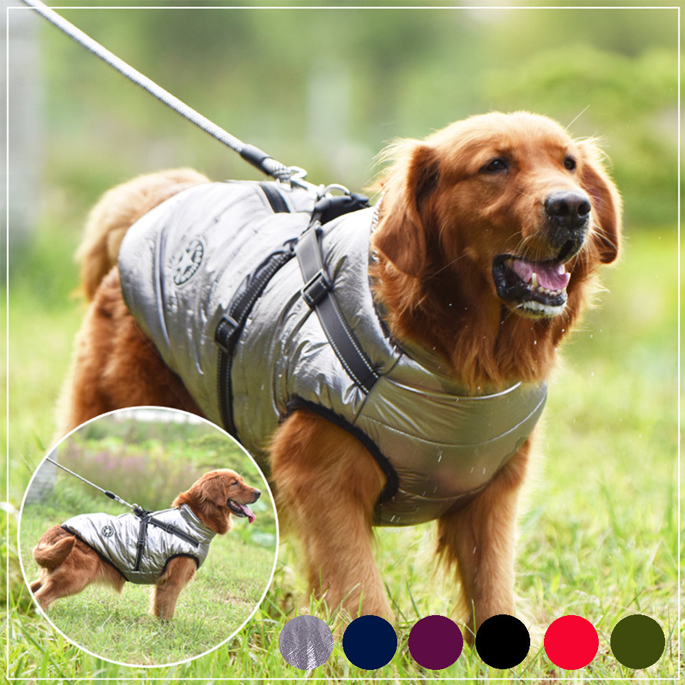 Pawsitive Vibes Waterproof Winter Dog Coat with Harness - Warm & Stylish Jacket for Big Dogs, Chihuahuas & Labradors