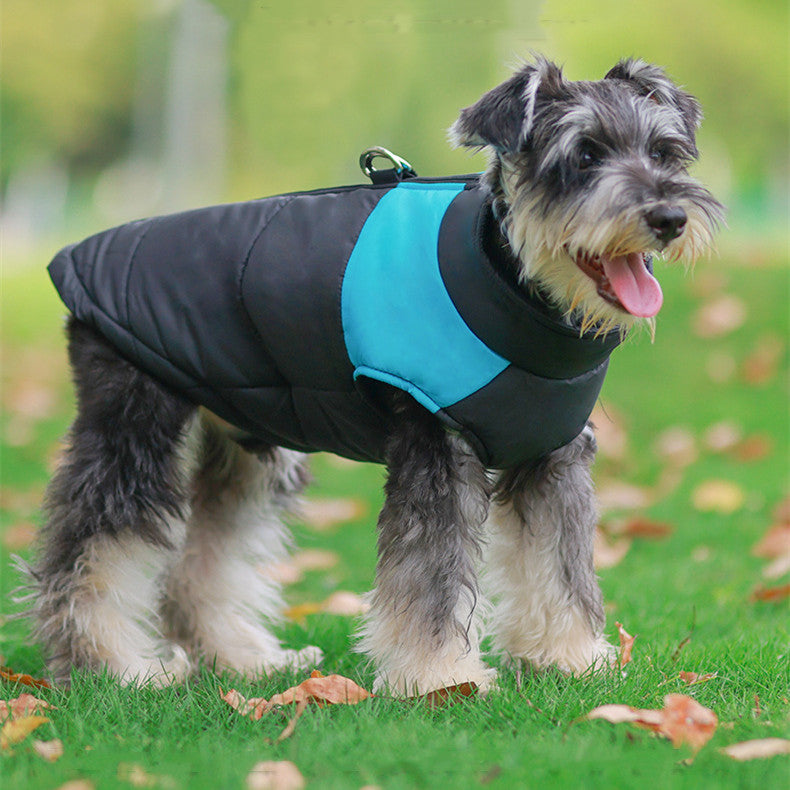Chaqueta de invierno para perro – Suéter para perros pequeños y grandes