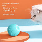 Interactive cat rolling ball in teal beside a resting white cat