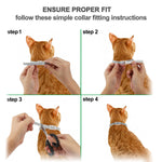 Flea-Free Fido Premium Flea and Tick Collar - Long-Lasting Protection with Natural Ingredients