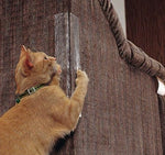 Clear anti-scratch protector on a vertical surface, cat scratching at the edge