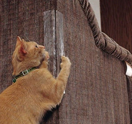Clear anti-scratch protector on a vertical surface, cat scratching at the edge