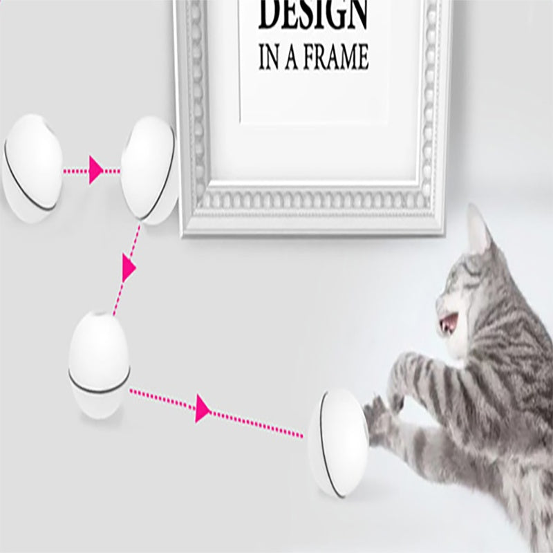 LED rolling cat toy ball in white with black trim near a cat