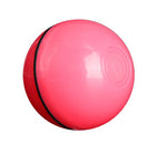 LED rolling cat toy ball in red-pink with black trim and embossed top