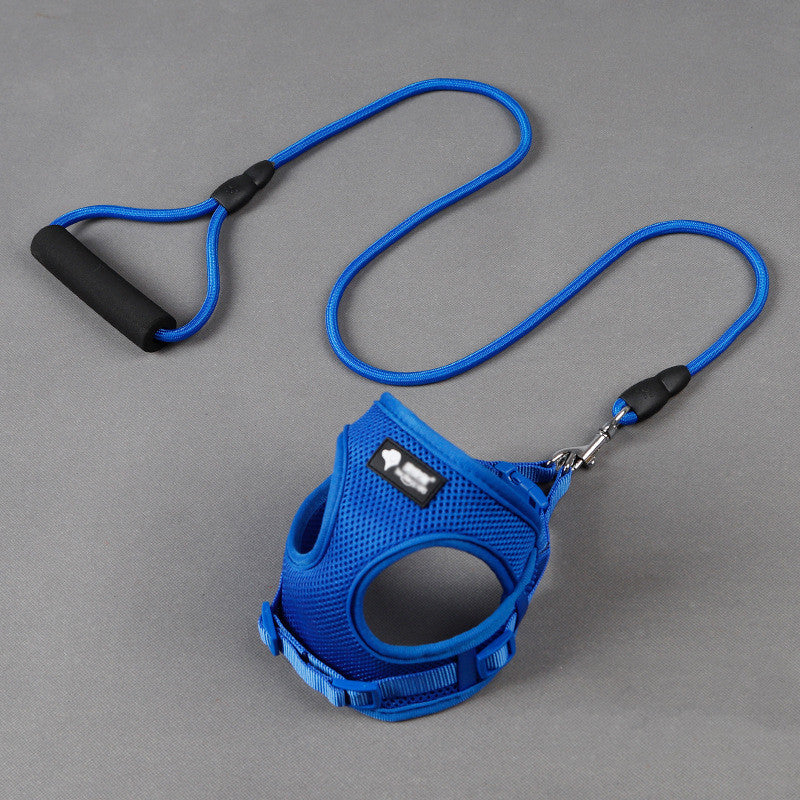 Mesh dog harness and leash set with foam handle, blue straps and black clips