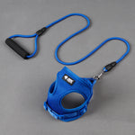 Mesh dog harness and leash set with foam handle, blue straps and black clips