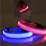 Pink LED pet safety collar with metal D-rings and buckle, bright flashing halo band