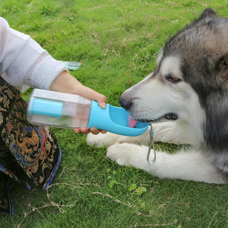 Portable dog water bottle with blue spout cup pouring drink for a husky on grass