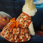 Halloween Pet Party Dress – Dog & Cat Costume Outfit