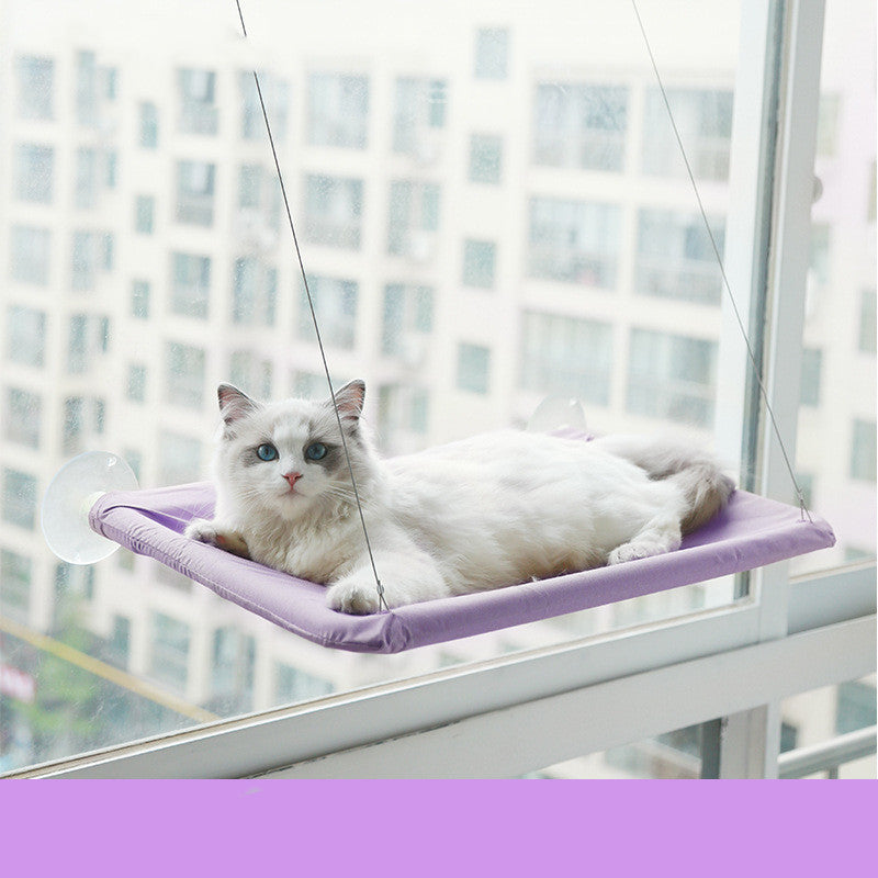 Cat window hammock perch with suction cups, purple cushion, white cat lying down