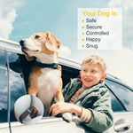 Pet dog seat belt leash harness secured in car seat next to a child