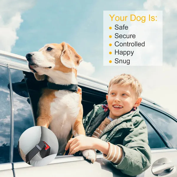 Pet dog seat belt leash harness secured in car seat next to a child