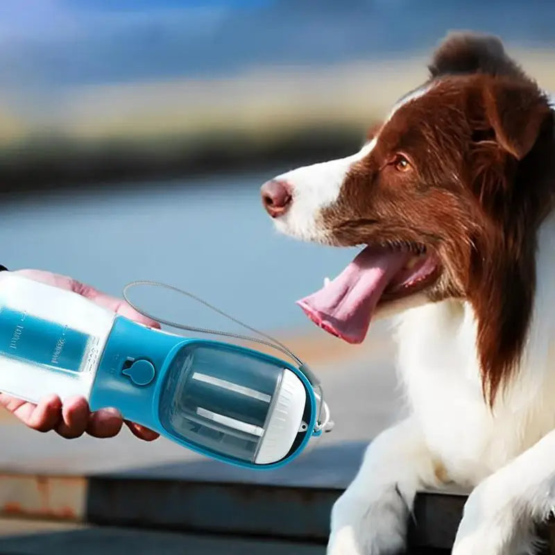 3-in-1 portable pet cup, blue bottle pouring water from spout to a dog