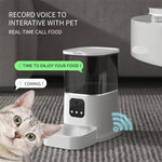 White smart pet automatic feeder with control panel and open food tray