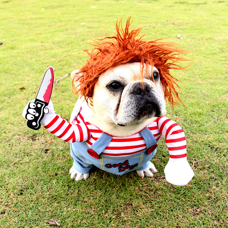 Dog Halloween costume on light dog: orange wig, striped sleeves, light-blue overalls, Good Dogs patch