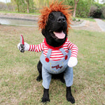 Dog Halloween costume on black dog: orange wig, striped sleeves, light-blue overalls, Good Dogs