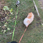 PawPal Retractable Dog Leash for Small Dogs - Reflective, 360° Swivel, Dual Lead with Lights