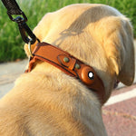 Orange leather dog collar with round tracker window and brass hardware