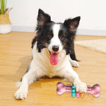 Dog chewing bone-shaped TPR toy with raised nubs in pink and teal