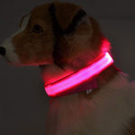 GlowPaws Nylon LED Dog Collar - Adjustable Luminous Leash for Night Safety & Visibility