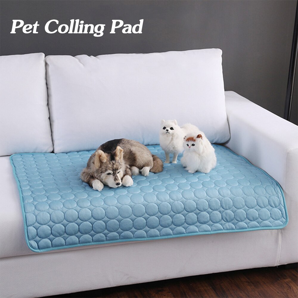 Light blue pet cooling pad on a white couch; tabby and white cats resting