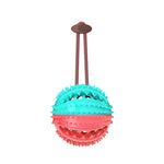 Dog chew ball toy with ridged teal and red spiky ball and brown handle straps