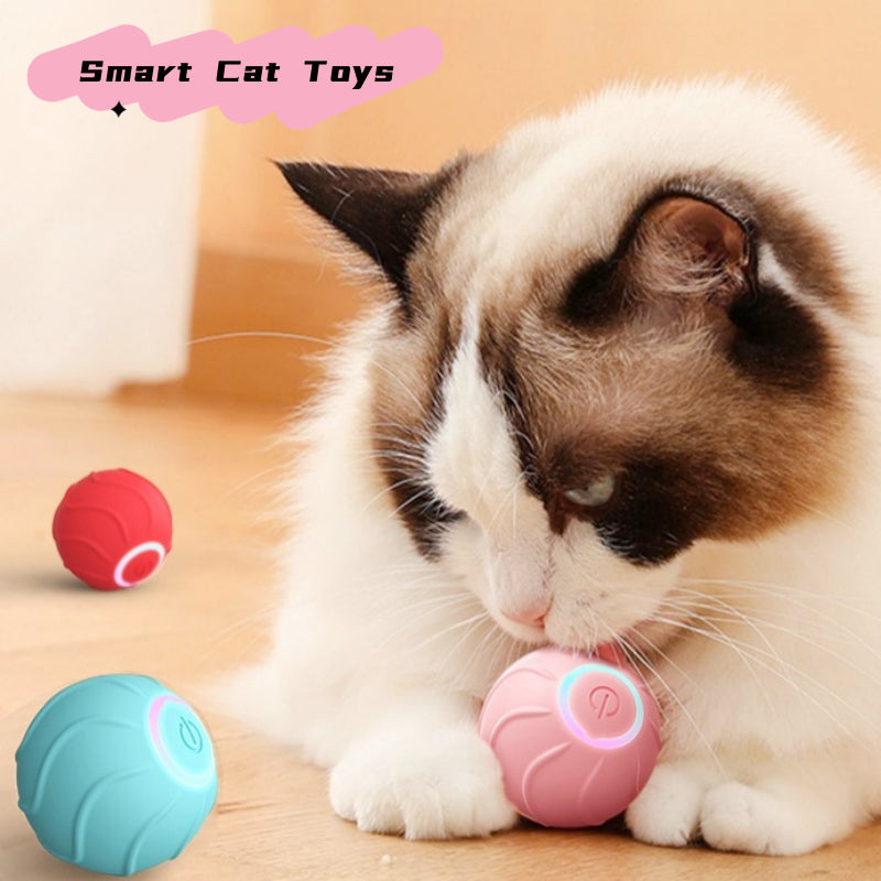 Interactive cat rolling ball toy with pink and red balls near a cat