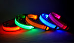 GlowPaws Nylon LED Dog Collar - Adjustable Luminous Leash for Night Safety & Visibility