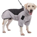 Dog waterproof winter coat, light-gray body with black padded back and hood