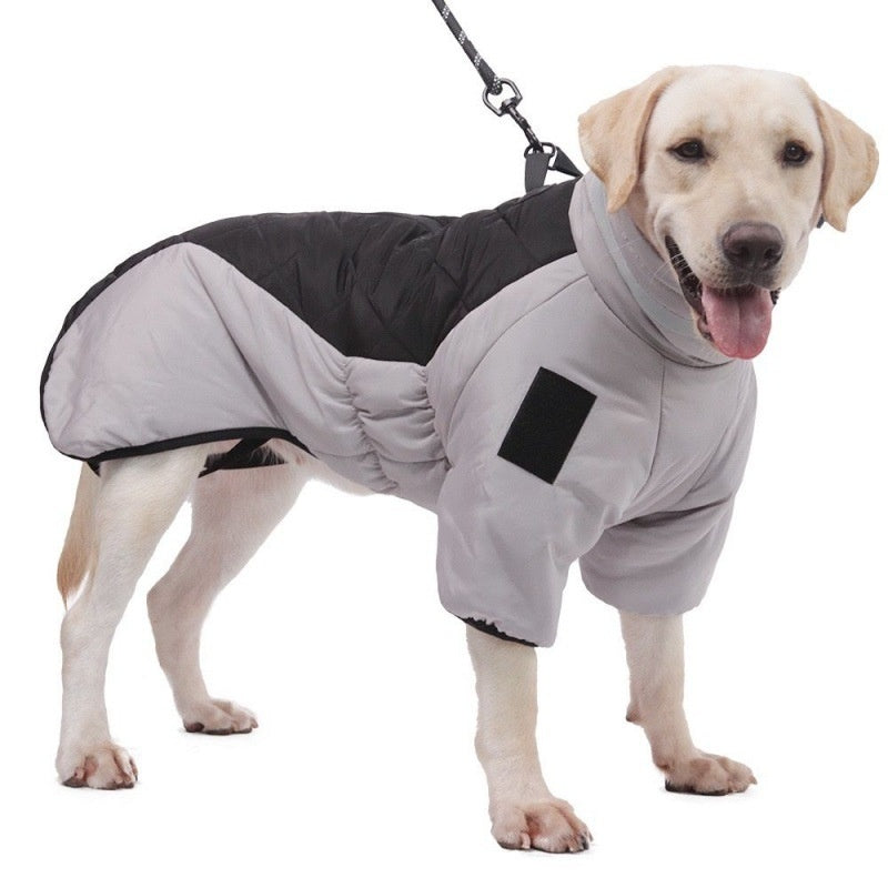 Dog waterproof winter coat, light-gray body with black padded back and hood