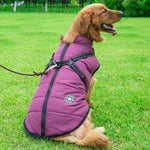 Hooded Winter Dog Coat for Chihuahua, Pug & Small Dogs