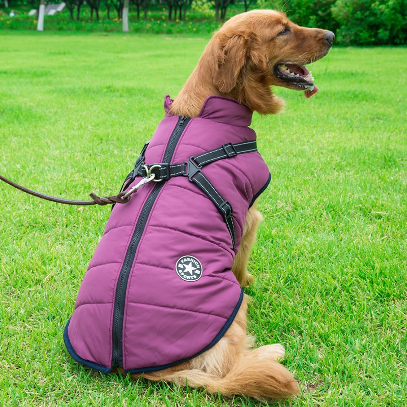 Hooded Winter Dog Coat for Chihuahua, Pug & Small Dogs