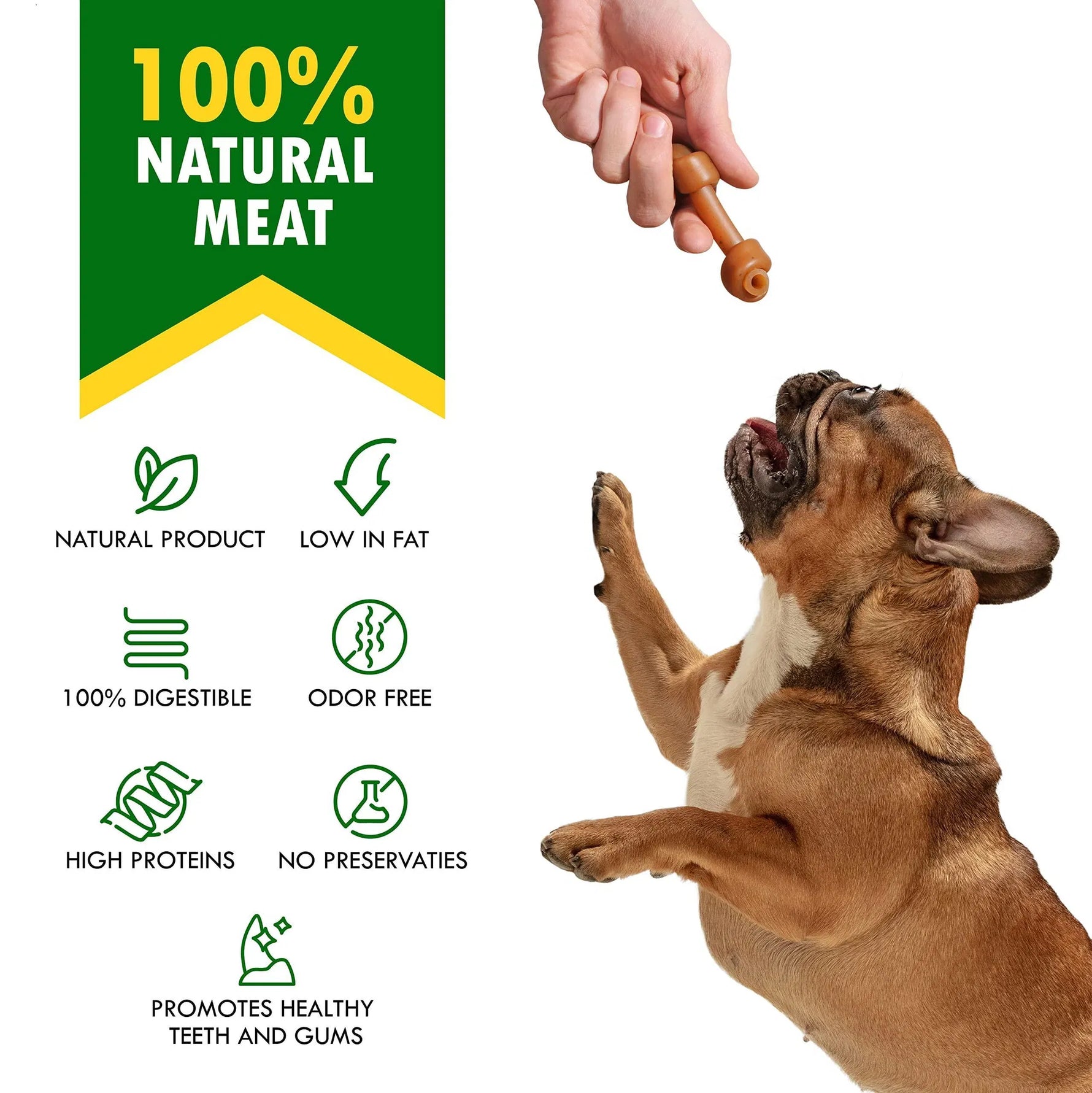 Hand holding a brown chew bone; brown and white dog with 100% natural meat badge