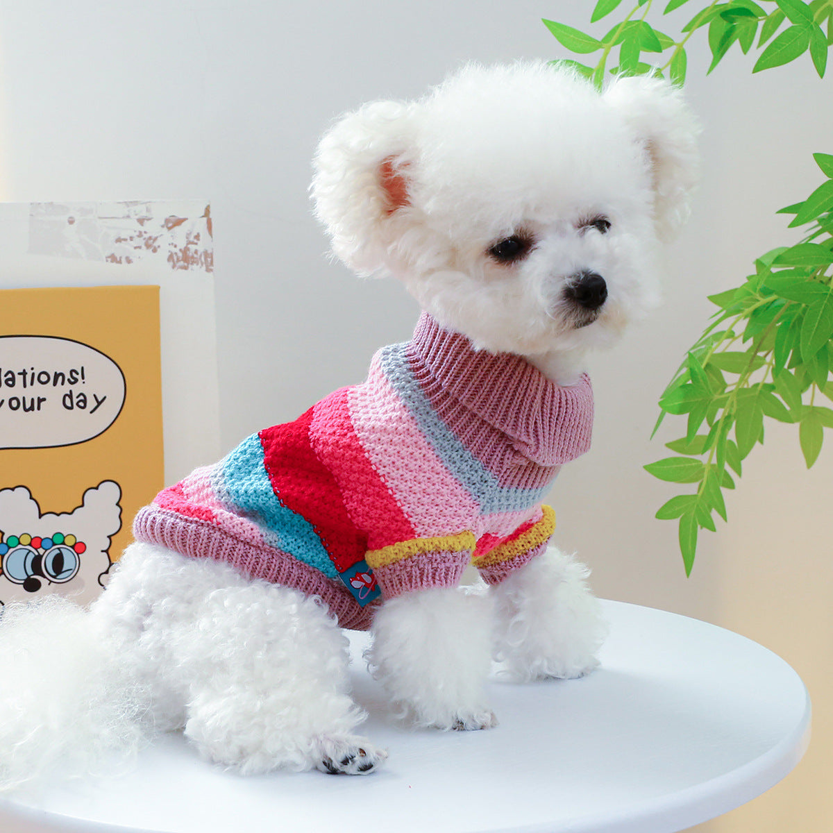 Colorful Stripes Pet Ring Sweater - Soft Comfort for Your Furry Friend