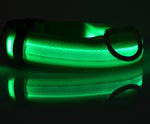 GlowPaws Nylon LED Dog Collar - Adjustable Luminous Leash for Night Safety & Visibility